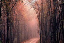 天涯论坛乔任梁事件：一场网络暴力的血色哀歌