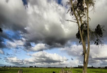 天涯神贴网盘：江湖人的秘密战场